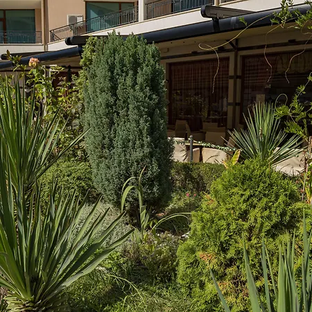 Daire Menada In Karolina *